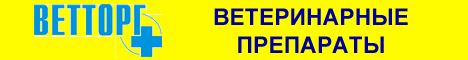 vettorg.ru  468 -60