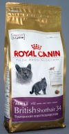 ���� ����� ���� ��� ���������� ��������������� ������ 12 ������� (459020/6419  British Shorthair 34), ��. 2 ��
