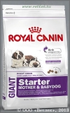 ���� ����� ��� ������ ����� ������� ����� �� 2 �������, ���������� � �������� ��� (Royal Canin Giant Starter), ��. 4 ��
