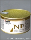 ��� ���� ������������ ����� ��� ����� ��� �������� ��������������� (PVD NF Renal Function Early care (��������� ������) 21039), ����� 195 �