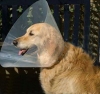 �������� �������� ��� ������� ����� �30