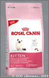 ���� ����� ��� ����� �� 4 �� 12 ������� (Royal Canin Kitten-36), ��. 10 ��