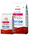 ���� ���� ��� ����� ������ ����� �� 2 �� (Monge Extra Small Adult) � ��������, ��. 800 �