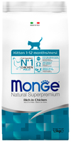 ���� ���� ��� �����, ���������� � �������� ����� (Monge Kitten) � �������, ��. 1,5