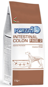������������ ����� ��� �������� ����� � ������������ �������� (Intestinal Colitis fase II) � �����, ��. 4 ��