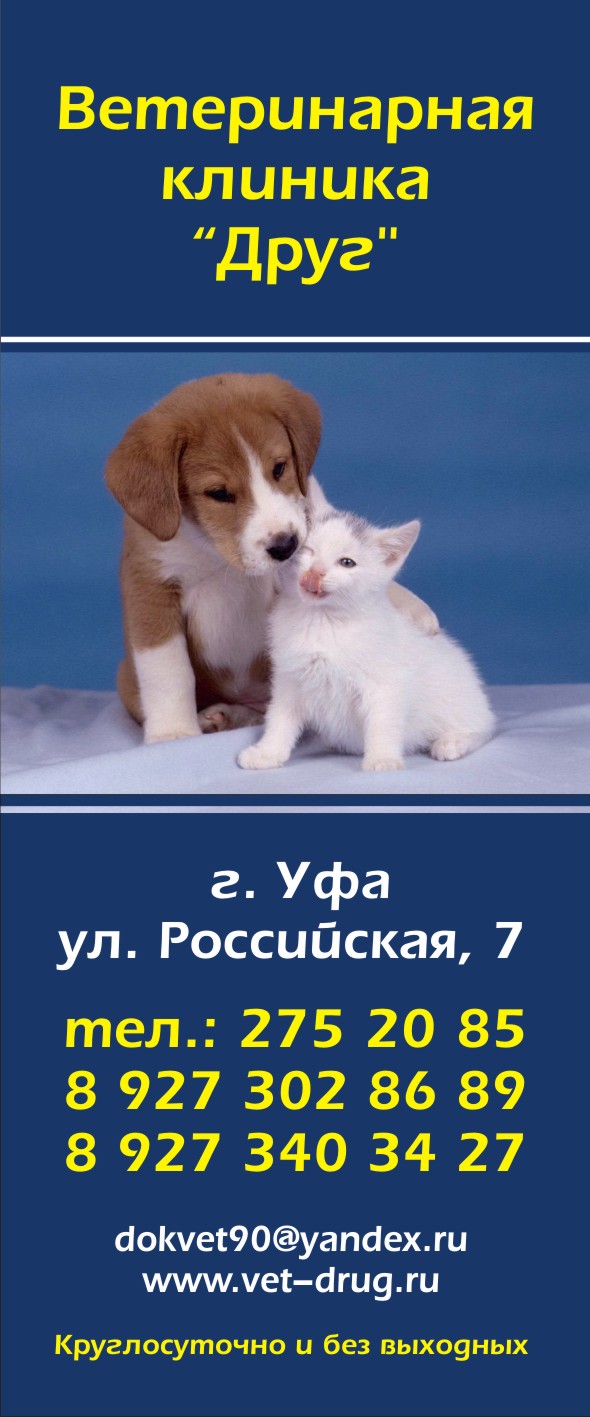 ������������ ������� "����"
